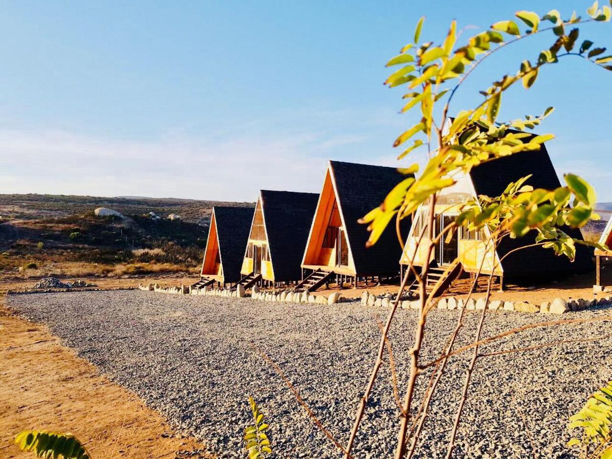 Ixchel Glamping Valle De Guadalupe Ensenada Cameră foto